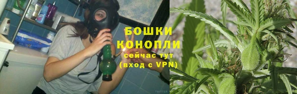 2c-b Краснослободск
