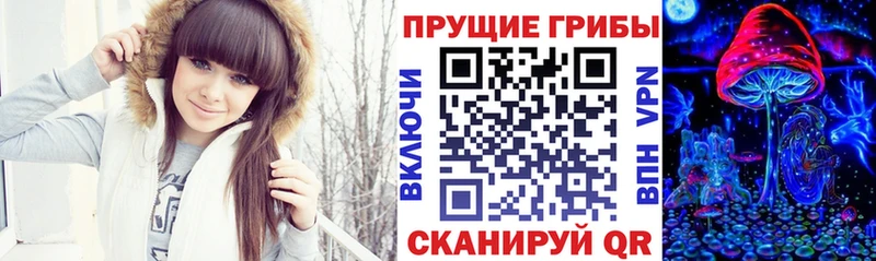 mega ONION  Нерчинск  Галлюциногенные грибы мицелий 